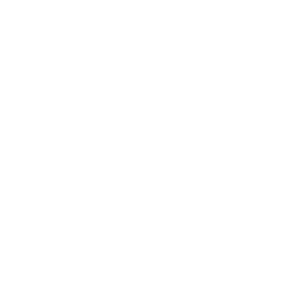 Wallscape logo